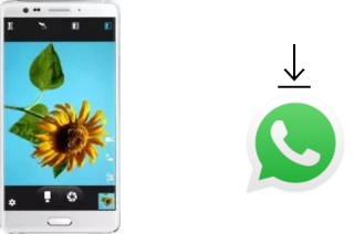 Come installare WhatsApp su Elephone P8 Pro