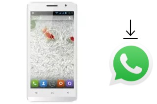 Come installare WhatsApp su Evercoss A26C