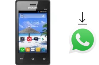 Come installare WhatsApp su Evercoss A53 Star