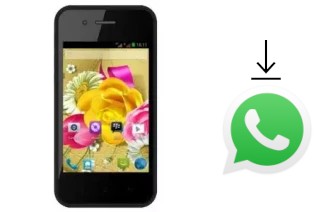 Come installare WhatsApp su Evercoss A53B