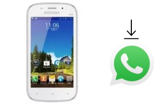 Come installare WhatsApp su Evercoss A7D