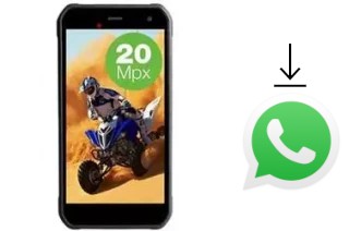 Come installare WhatsApp su Evolveo StrongPhone G8