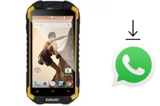 Come installare WhatsApp su Evolveo StrongPhone Q9