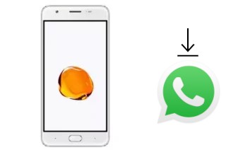 Come installare WhatsApp su ExMobile Chat 9 Max