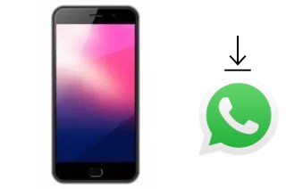 Come installare WhatsApp su ExMobile Chat 9