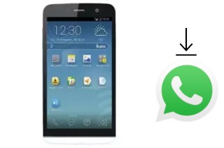 Come installare WhatsApp su Explay Flame