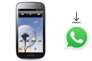 Come installare WhatsApp su Feiteng GT-I9300