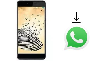 Come installare WhatsApp su Fero Pace 2 Lite