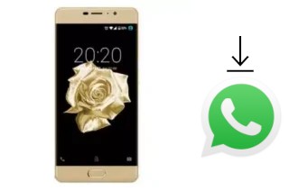 Come installare WhatsApp su Fero Royale X2