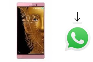 Come installare WhatsApp su Fero X1