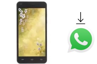 Come installare WhatsApp su FinePower C1