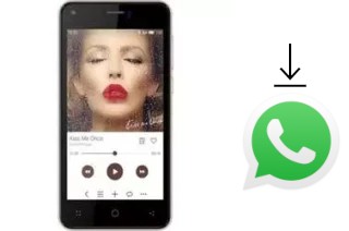 Come installare WhatsApp su FinePower D1