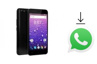 Come installare WhatsApp su Firefly AURII Amuse 4G