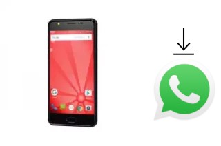 Come installare WhatsApp su Firefly AURII F8 Premium