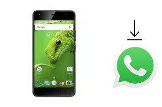 Come installare WhatsApp su Fly Cirrus 11