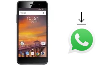 Come installare WhatsApp su Fly Cirrus 14