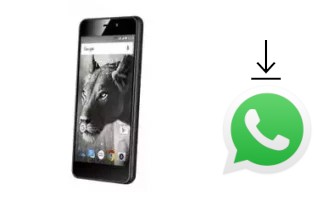 Come installare WhatsApp su Fly Cirrus 16