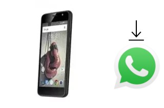 Come installare WhatsApp su Fly Knockout