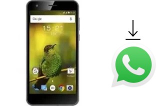 Come installare WhatsApp su Fly Power Plus XXL