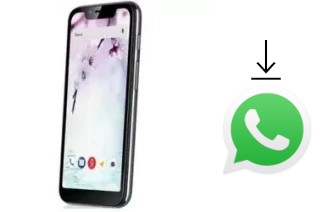 Come installare WhatsApp su Fly View