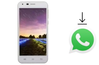 Come installare WhatsApp su FPT Life 5 Star