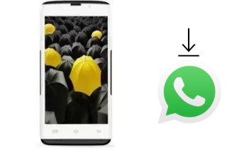 Come installare WhatsApp su Genx E1