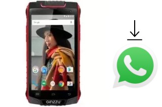 Come installare WhatsApp su Ginzzu RS8501