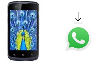 Come installare WhatsApp su Gionee Ctrl V1