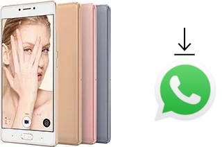 Come installare WhatsApp su Gionee S8