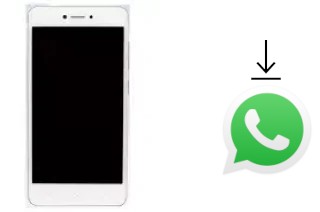 Come installare WhatsApp su Gionee F100