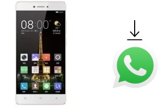 Come installare WhatsApp su Gionee F100L