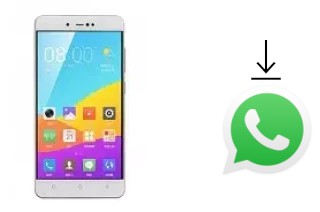 Come installare WhatsApp su Gionee F106