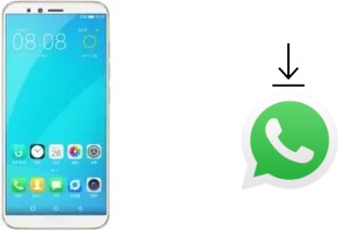 Come installare WhatsApp su Gionee F6