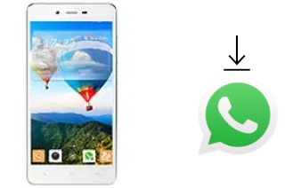 Come installare WhatsApp su Gionee Marathon M3