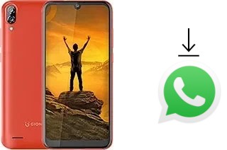 Come installare WhatsApp su Gionee Max