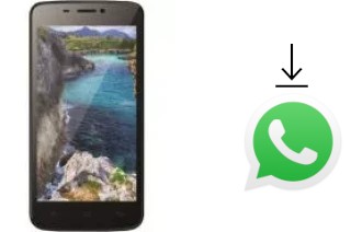 Come installare WhatsApp su Gionee Pioneer P5L