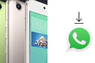 Come installare WhatsApp su Gionee S10C