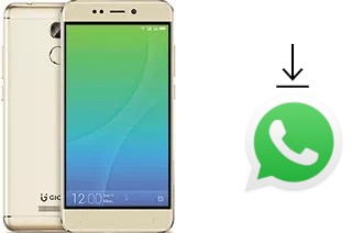 Come installare WhatsApp su Gionee X1s