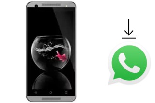 Come installare WhatsApp su GoMobile GO504