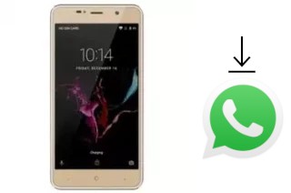 Come installare WhatsApp su Gooweel M15