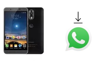 Come installare WhatsApp su Gooweel M3