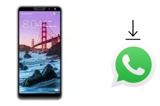 Come installare WhatsApp su Gooweel M5 Plus