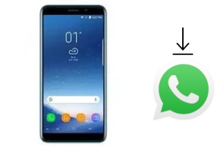 Come installare WhatsApp su Gooweel S10