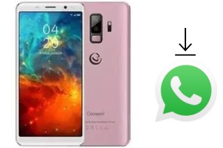 Come installare WhatsApp su Gooweel S9