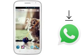 Come installare WhatsApp su GPhone Bold