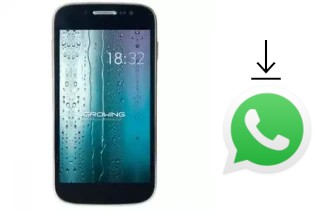 Come installare WhatsApp su Growing GMD4312