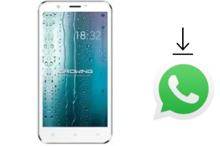 Come installare WhatsApp su Growing GMQ5712