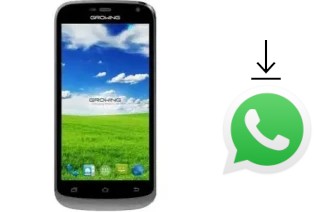 Come installare WhatsApp su Growing Z4 Plus