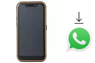 Come installare WhatsApp su Guophone X3