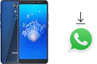 Come installare WhatsApp su Haier I6